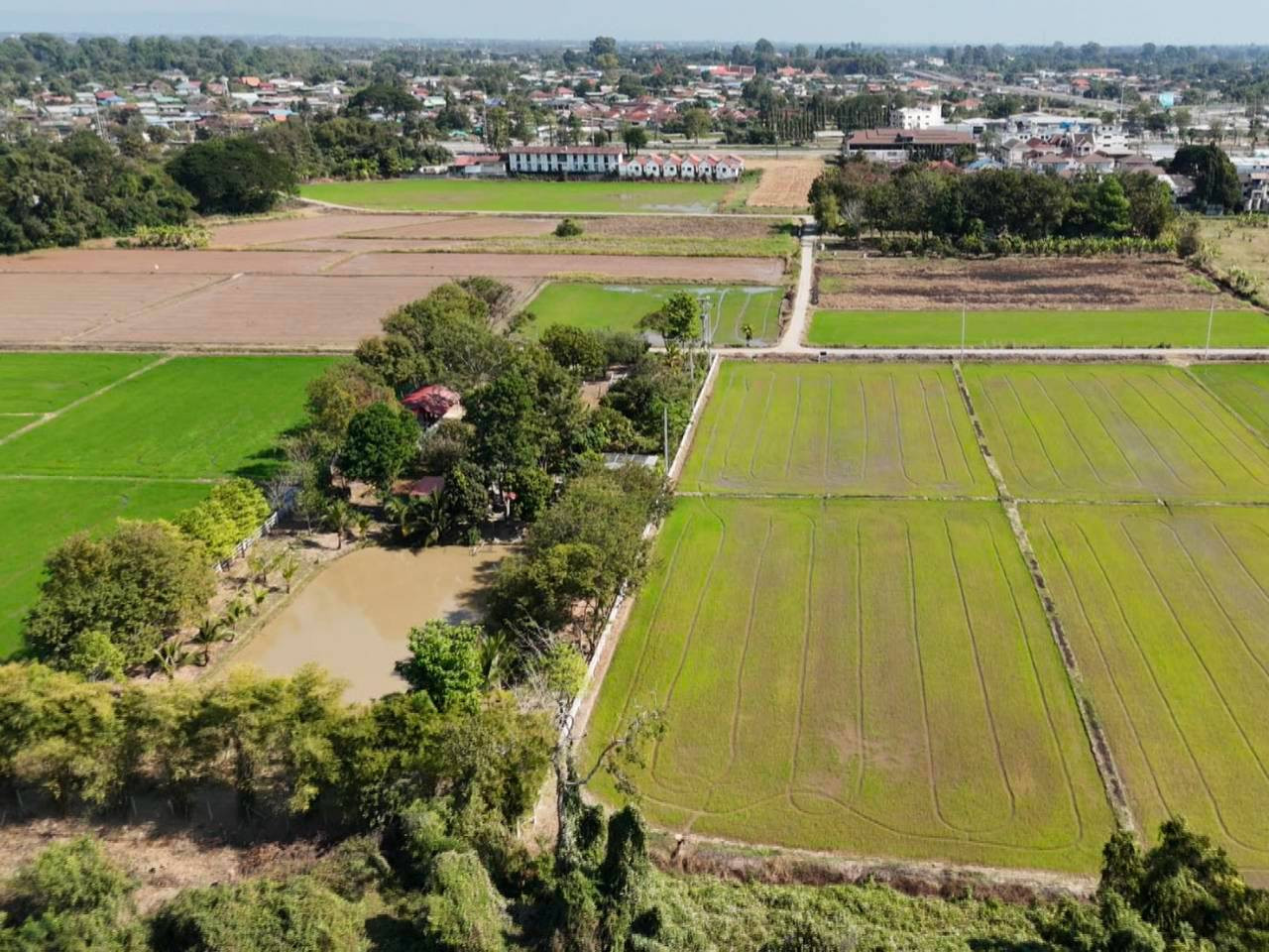Land 3 rai 5 sq m near Nong O intersection. Inbound Phitsanulok Enter the alley 300 meters. One side, Phitsanulok Administrative Court – รูปที่ 2