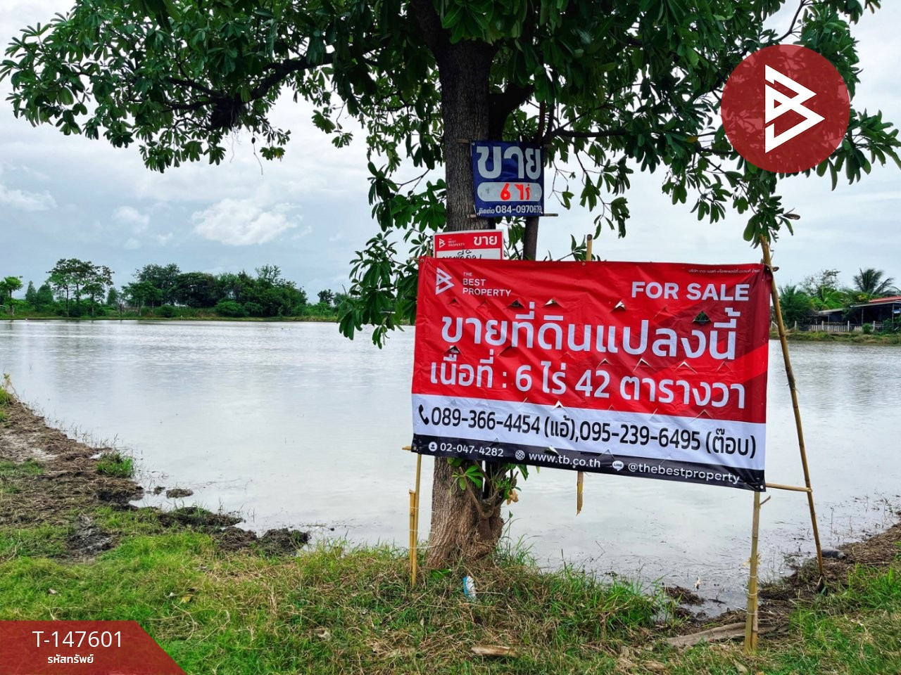 ขายที่ดิน เนื้อที่ 6 ไร่ 42 ตร.วา ท่ามะกา กาญจนบุรี – รูปที่ 3