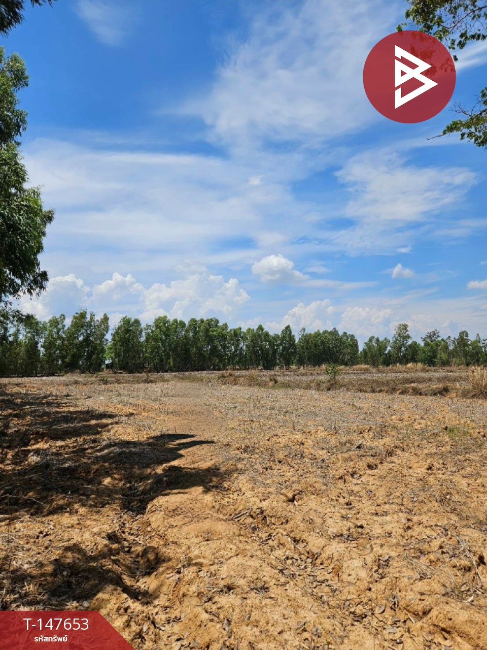 Land for sale, area 13 rai 20 sq m, Pen, Udon Thani. Land for sale, area 13 rai 20 sq m, Pen, Udon Thani.