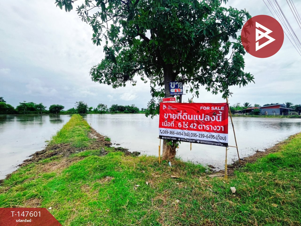 ขายที่ดิน เนื้อที่ 6 ไร่ 42 ตร.วา ท่ามะกา กาญจนบุรี – รูปที่ 4