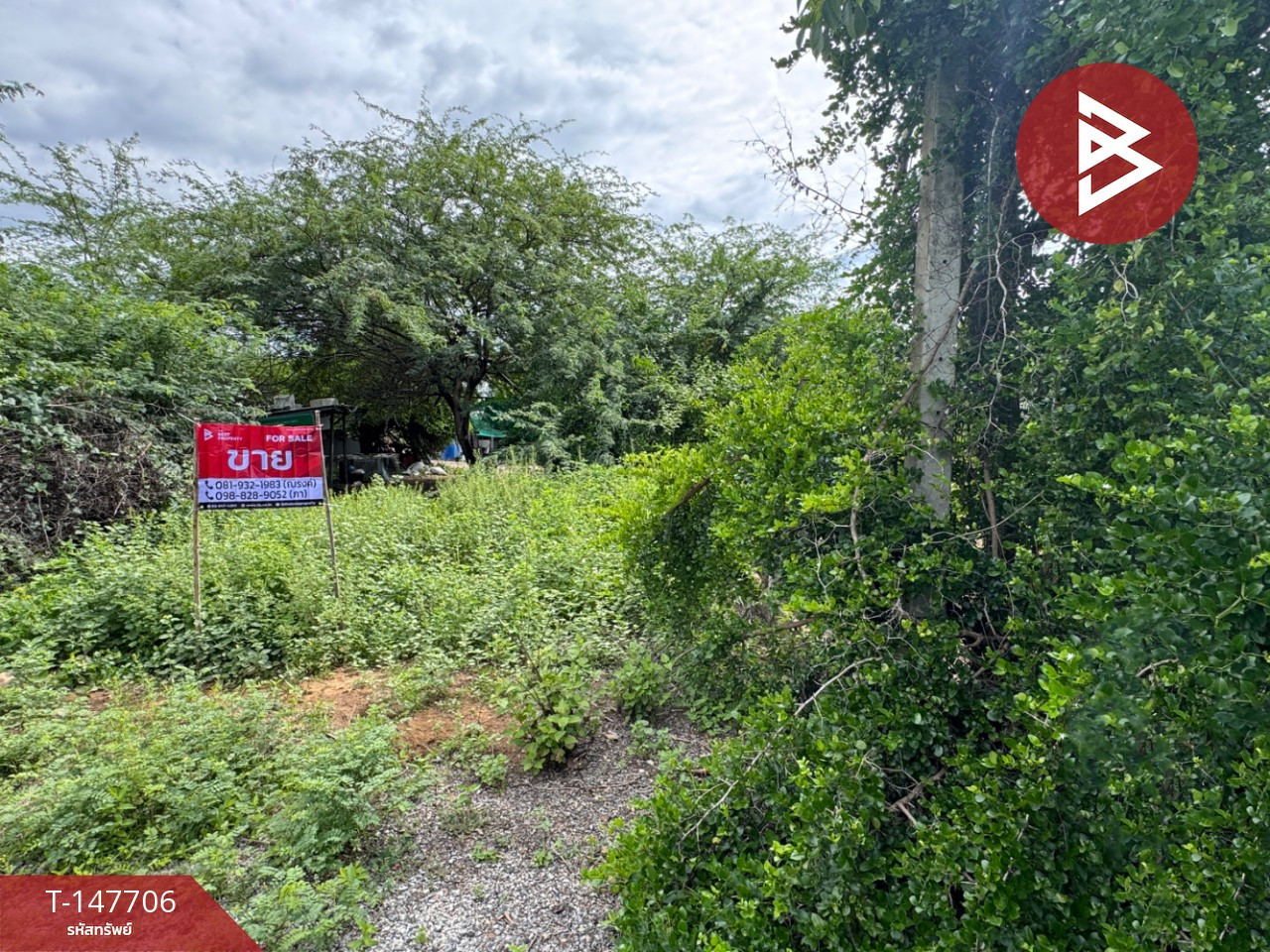 Land for sale, area 51 square meters, in the Cha-am Scent Resort project, Phetchaburi. – รูปที่ 3