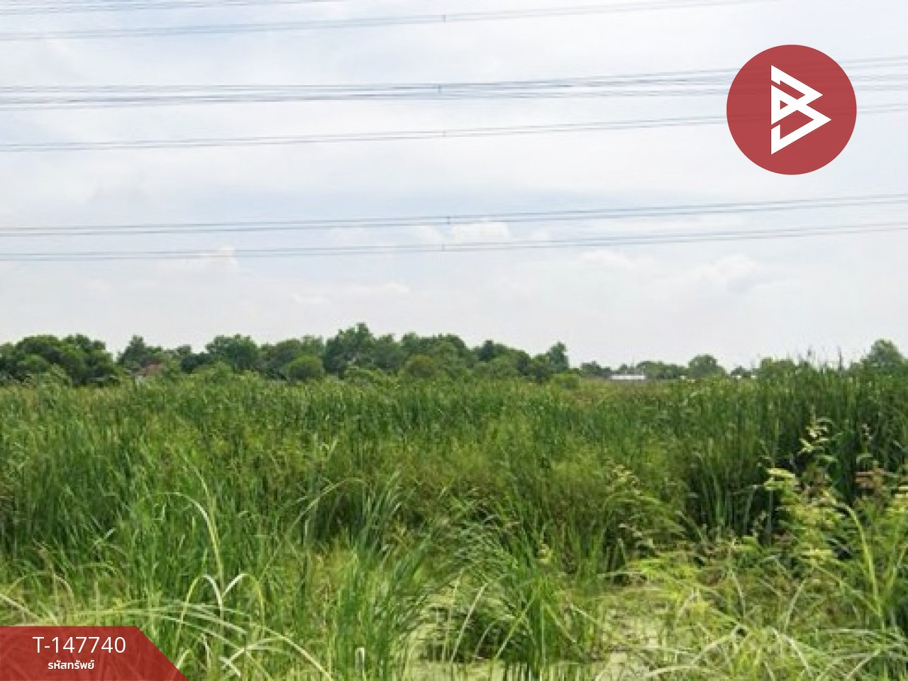 ขายที่ดิน เนื้อที่ 2 งาน ธัญบุรี ปทุมธานี – รูปที่ 4