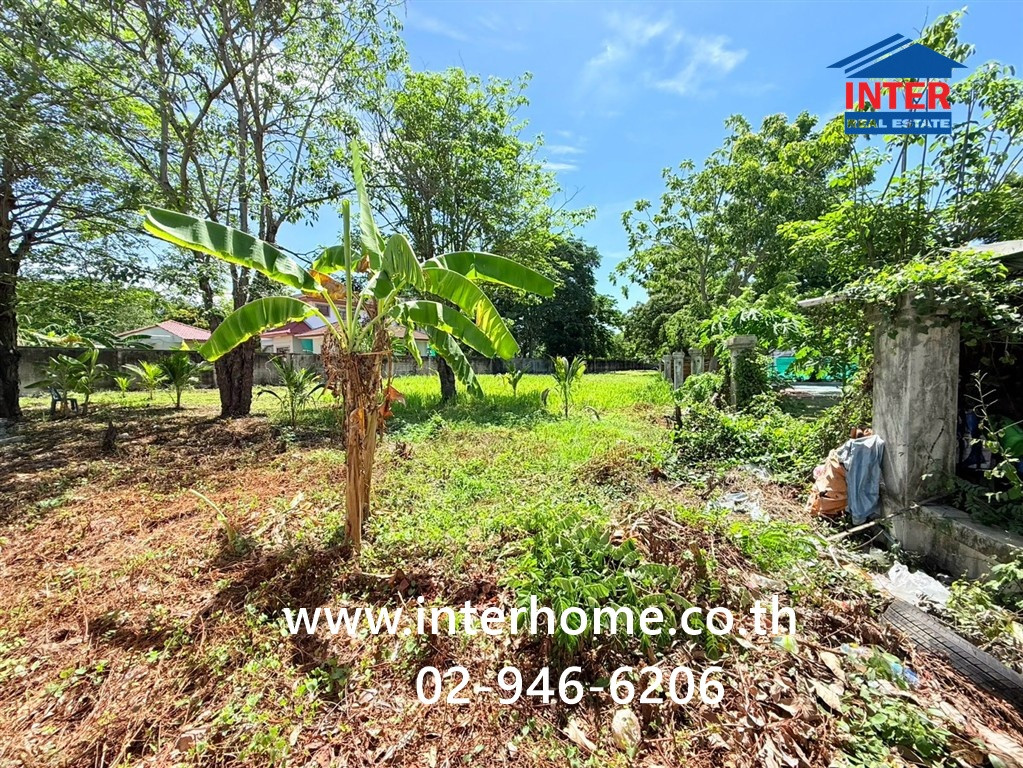 ที่ดินเปล่า 361 ตร.ว. ที่ดินเปล่า หน้าหมู่บ้านชัยพฤกษ์บางแวก ถนนพุทธมณฑลสาย3 ถนนบางแวก เขตภาษีเจริญ กรุงเทพมหานคร – รูปที่ 4