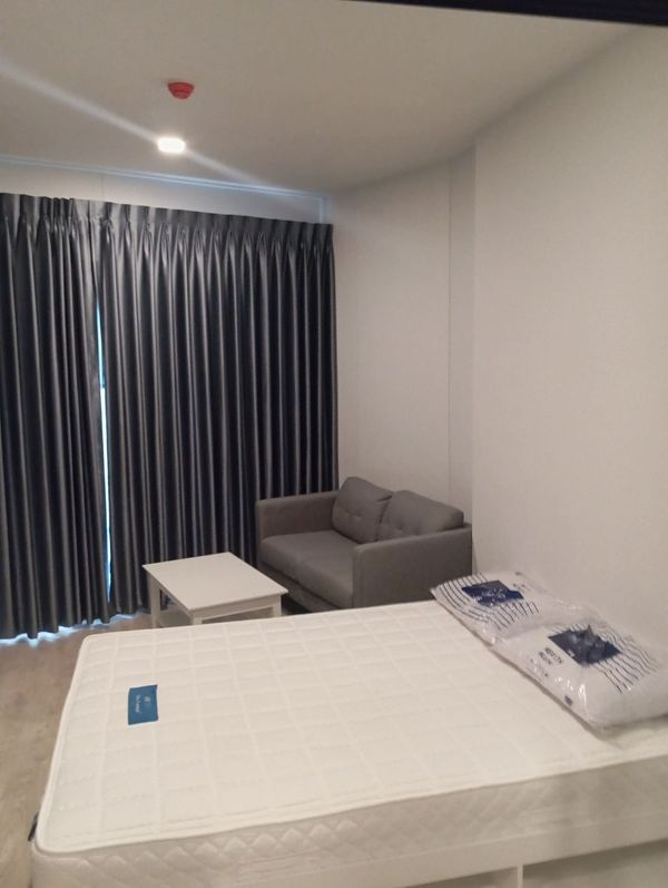 Condo for rent, The Tree Phatthanakan-Ekkamai, beautiful room, fully furnished, ready to move in.
