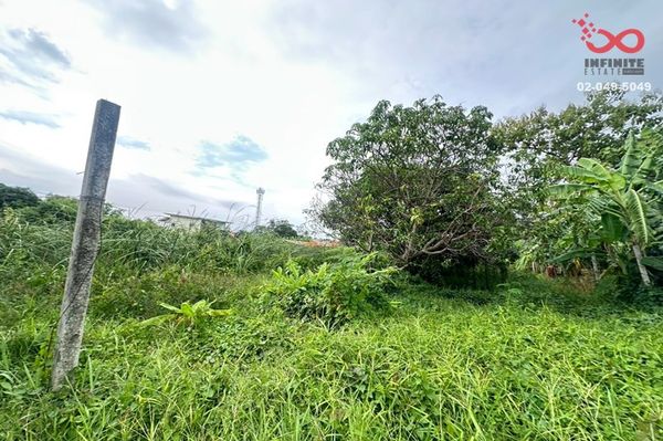 Land for sale, 43 sq m, Soi Sai Ma 8, Tha It, Pak Kret, Nonthaburi.