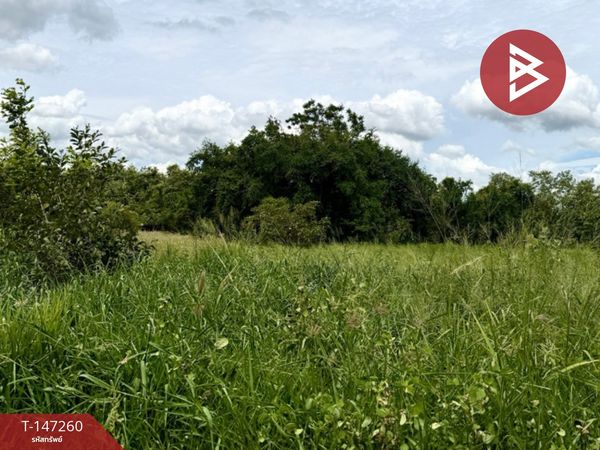 Land for sale, area 100 sq m, Phatthana Nikhom, Lopburi.