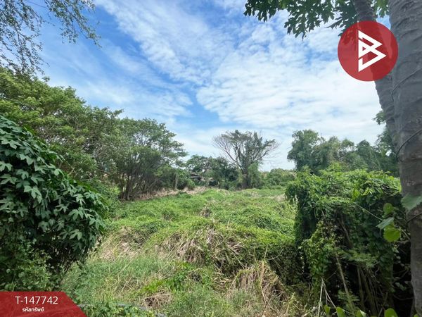 Land for sale, area 2 rai 1 ngan 9 sq m, Rua Yai, Suphanburi.