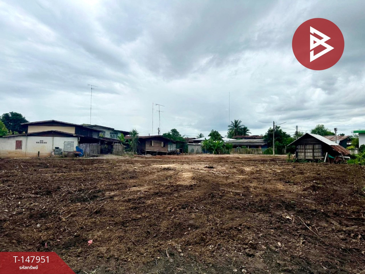 Land for sale, area 3 ngan 98 sq m, Noen Kham, Chainat. – รูปที่ 3