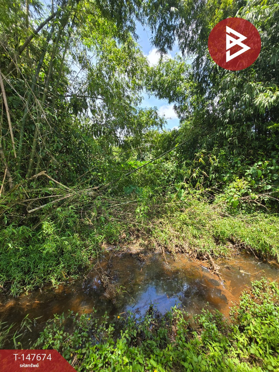 ขายที่ดิน เนื้อที่ 1 ไร่ ท่าช้าง จันทบุรี – รูปที่ 2
