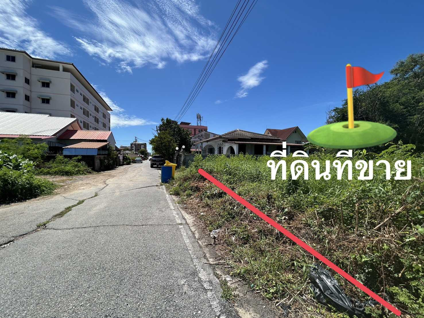ที่ดินเปล่าอยุธยา – รูปที่ 3