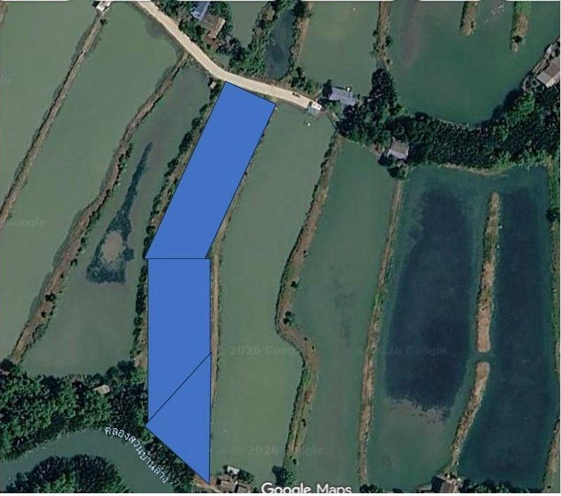Land for sale, Ban Khlong Suan, area 6 rai 3 ngan 1.1 square wah, Phra Samut Chedi, Samut Prakan, the back is next to Ban Lang Suan Canal, near My Home cafe.