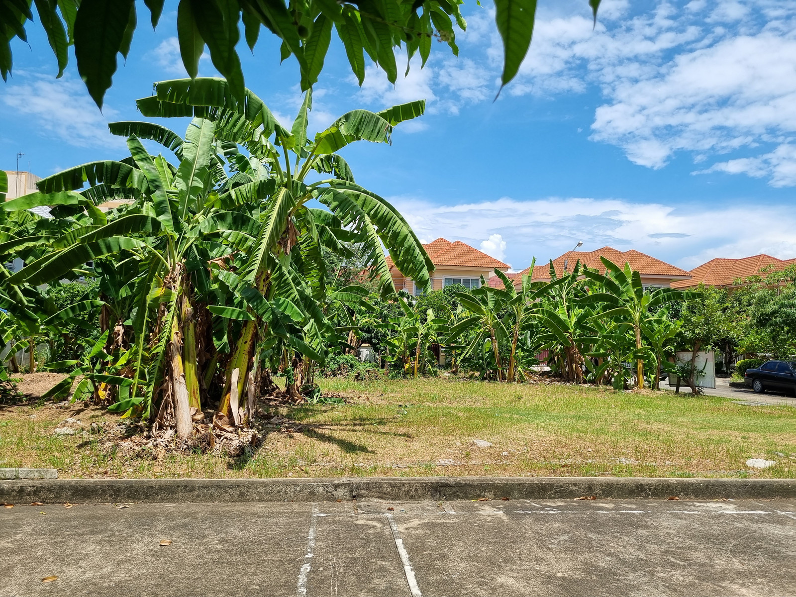 Beautiful land for sale, good size, 116 sq m, in a safe village, very convenient to travel. Beautiful land for sale, good size, 116 sq m, in a safe village, very convenient to travel.