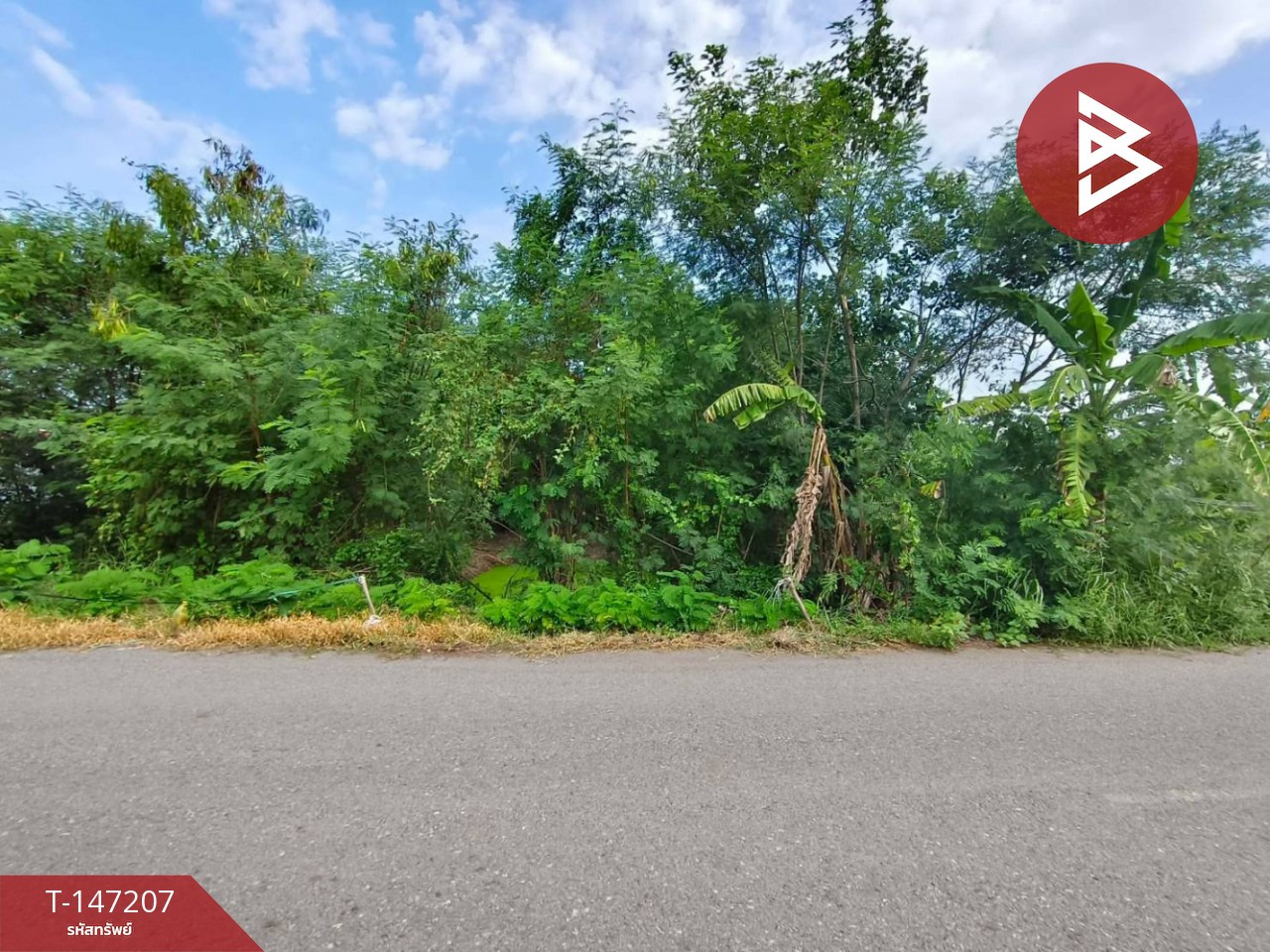 2 plots of land for sale, total area 150 sq m, Bang Kaeo, Mueang Chachoengsao. – รูปที่ 3