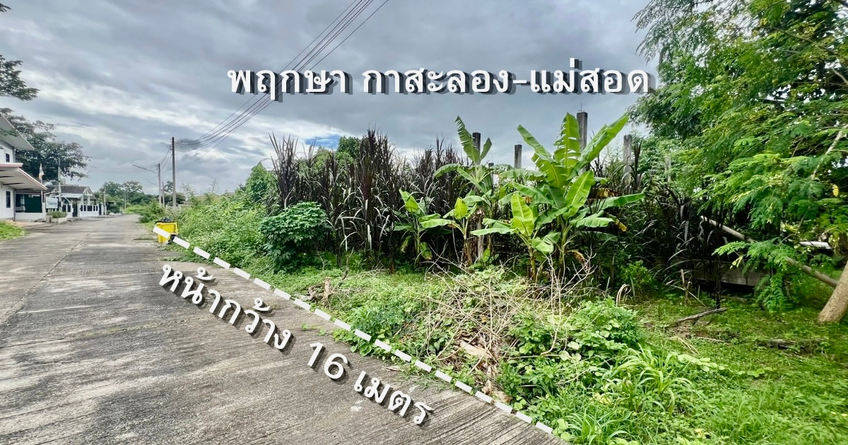 Land in the project 88 sq m with original house frame. In the Kasalong tree, Mae Pa-Mae Sot Land in the project 88 sq m with original house frame. In the Kasalong tree, Mae Pa-Mae Sot