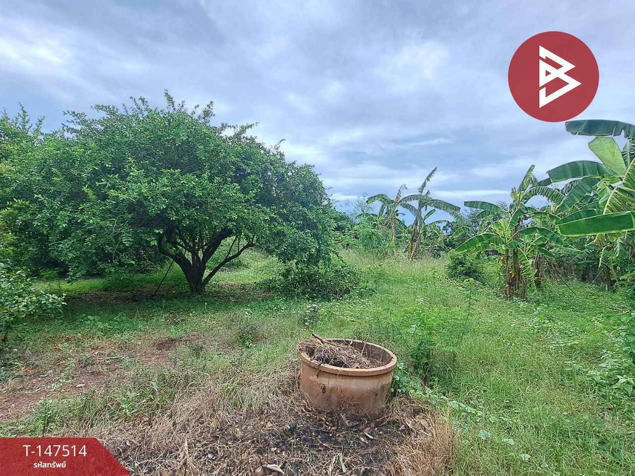 Urgent sale of land, area 168 square meters, Ban Prok 49, Samut Songkhram. – รูปที่ 2