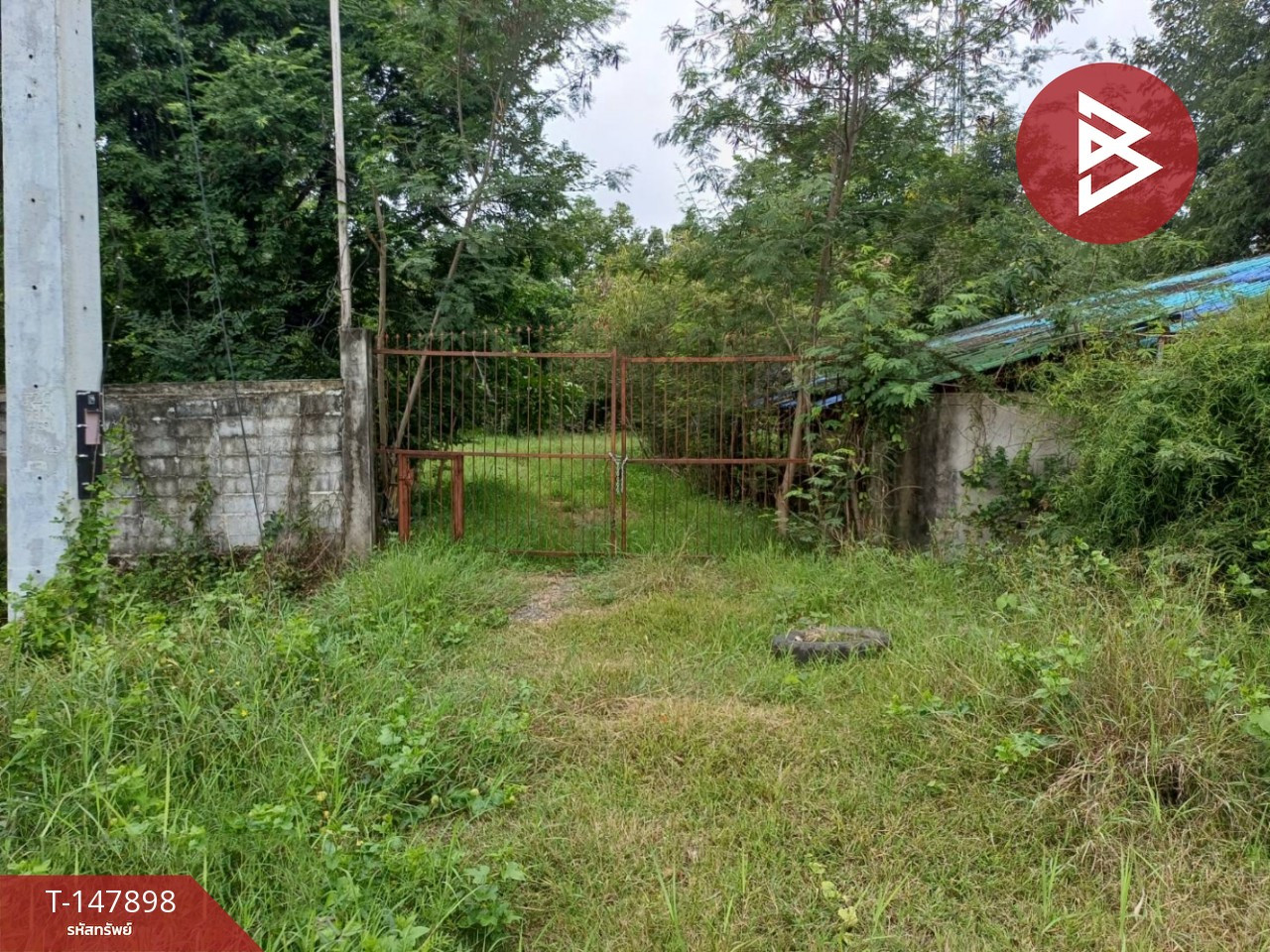 Land for sale, area 14 rai 2 ngan 11 sq m, Taphan Hin, Phichit.