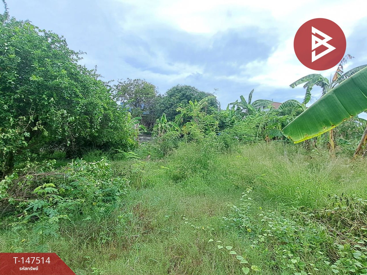 Urgent sale of land, area 168 square meters, Ban Prok 49, Samut Songkhram. – รูปที่ 4