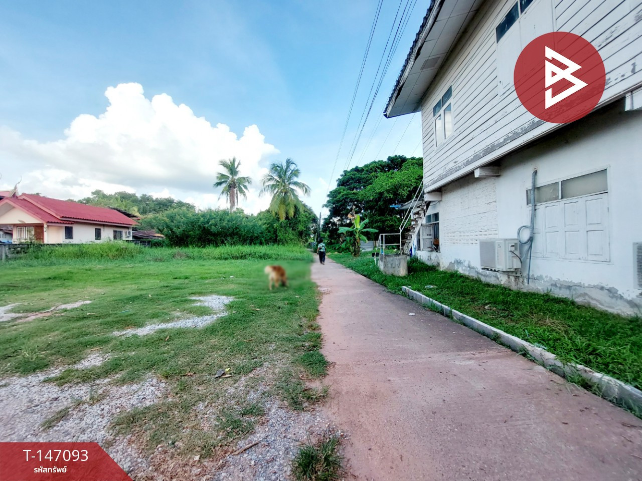 ขายบ้านเดี่ยว เนื้อที่ 43 ตร.วา จุมพล โพนพิสัย หนองคาย – รูปที่ 4