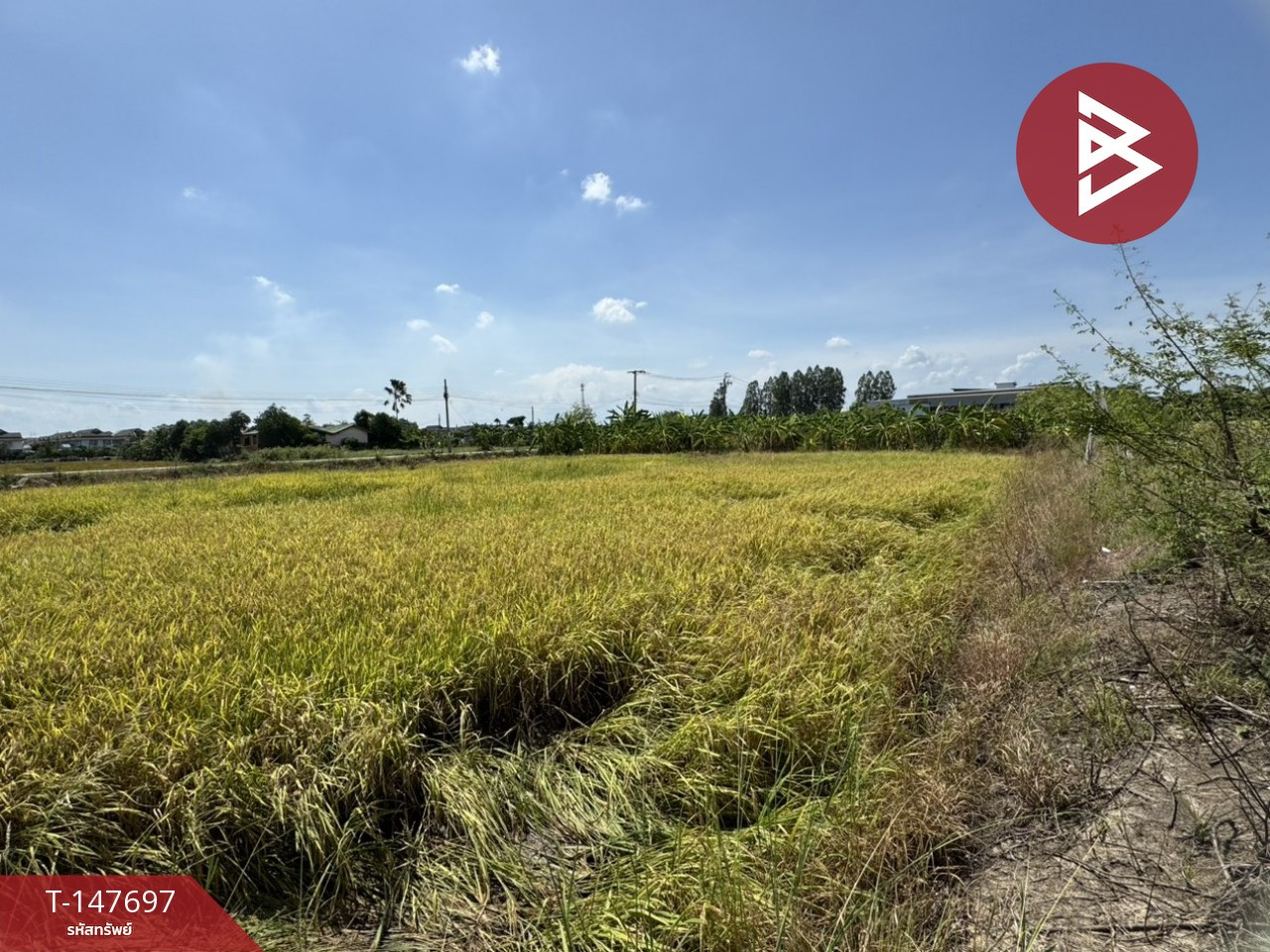 ขายที่ดินแปลงสวย เนื้อที่ 1 ไร่ บางบัวทอง นนทบุรี ทำเลดี ใกล้ถนนกาญจนาภิเษก – รูปที่ 3