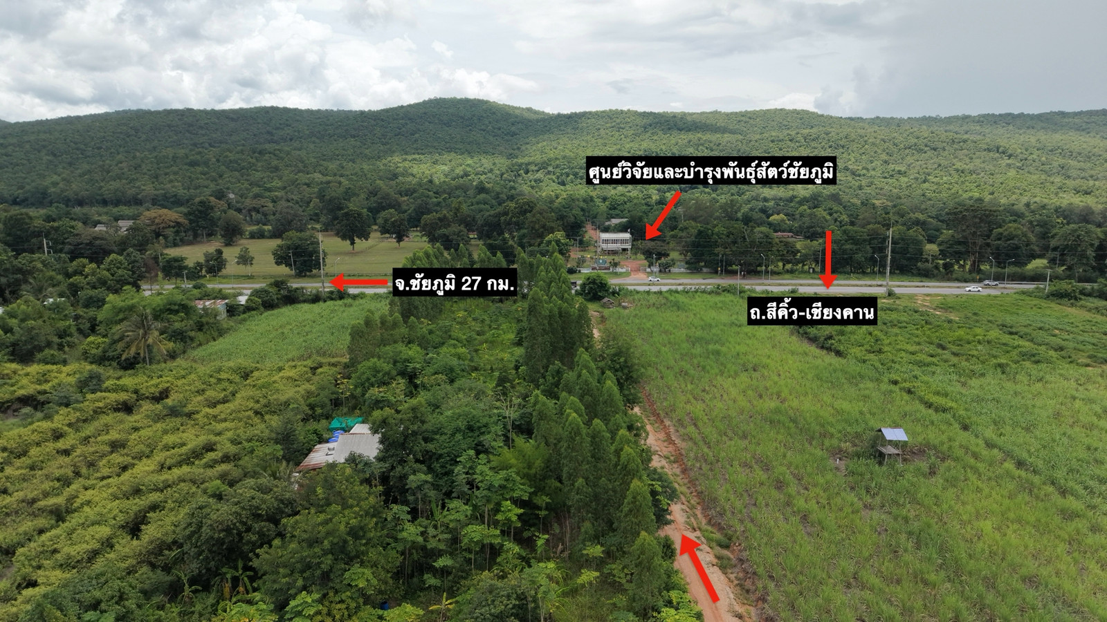 PZ1568 ขาย ที่ดิน 11 ไร่ 1 งาน 85 ตร.ว. วิวภูเขา ห่างถนนสีคิ้ว- เชียงคาน 200 เมตร และถนน Hightway (3058) 1.5 กิโลเมตร ตำบลห้วยไร่ อำเภอคอนสวรรค์ จังหวัดชัยภูมิ – รูปที่ 4