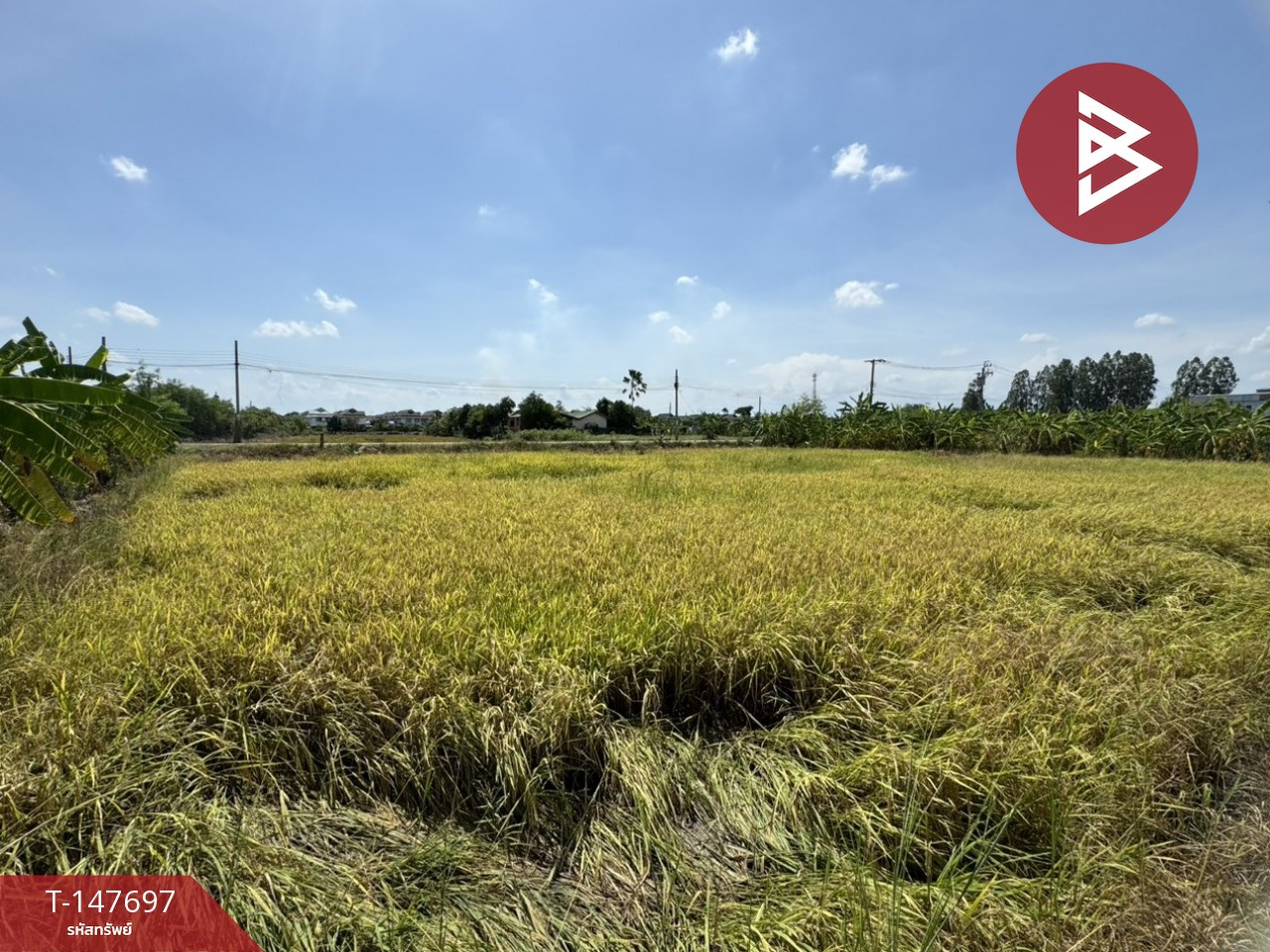 ขายที่ดินแปลงสวย เนื้อที่ 1 ไร่ บางบัวทอง นนทบุรี ทำเลดี ใกล้ถนนกาญจนาภิเษก – รูปที่ 2