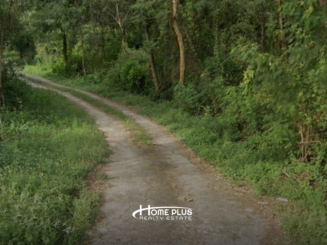 🌳 ขายที่ดินเปล่า 1 ไร่ ทำเลศักยภาพ อำเภอวังน้อย อยุธยา   – รูปที่ 2