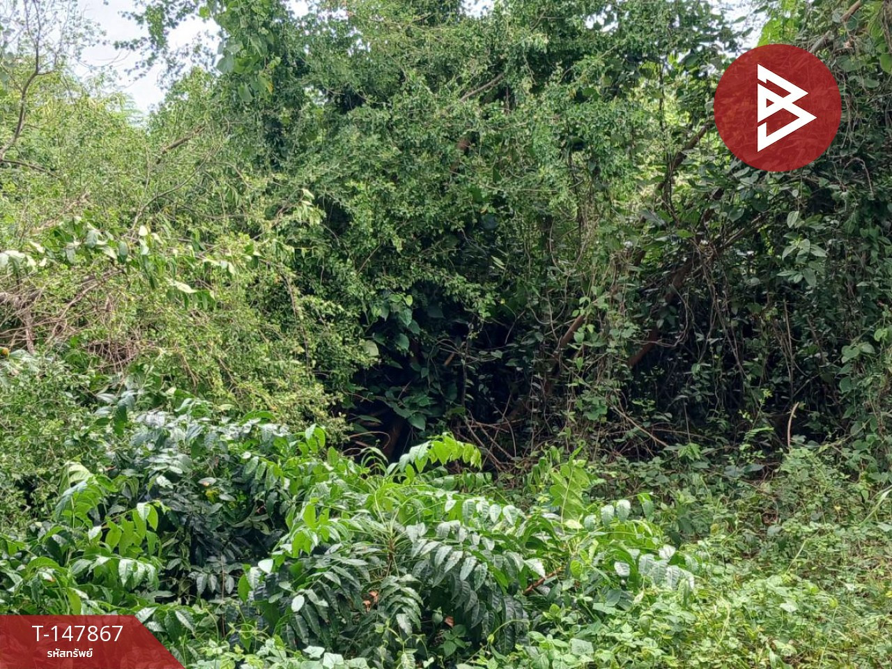 Empty land for sale, area 2 rai 2 ngan 28.4 square wah, in the middle of Rayong city. red city plan – รูปที่ 4
