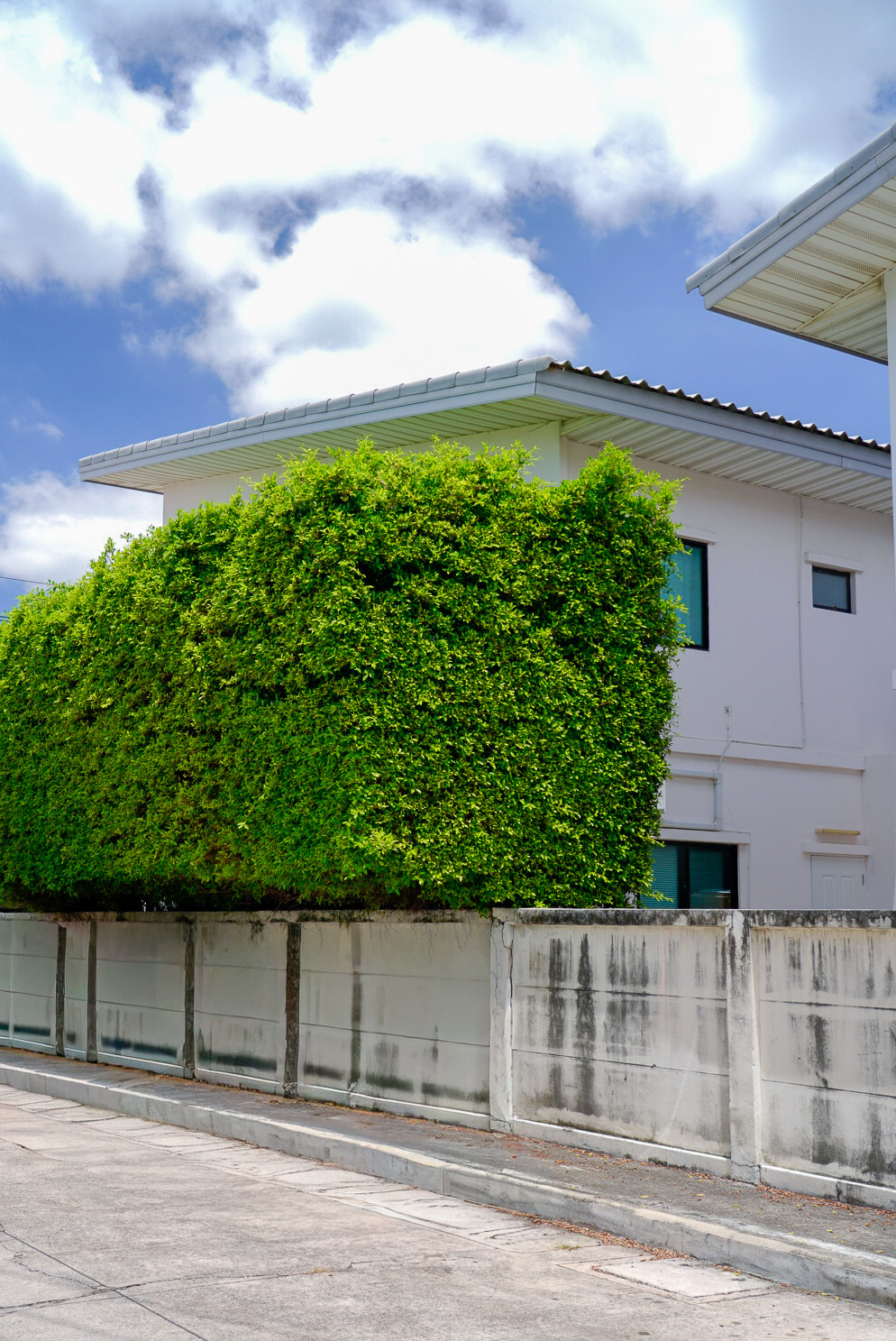 The  is selling it himself. Corner townhome Price lower than market Welcome investors near ABAC Bangna University. – รูปที่ 2