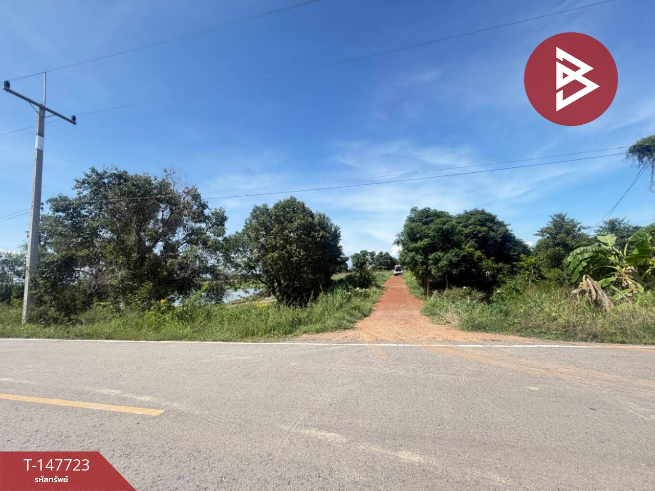 ขายที่ดิน เนื้อที่ 20 ไร่ ราชสาส์น ฉะเชิงเทรา – รูปที่ 4