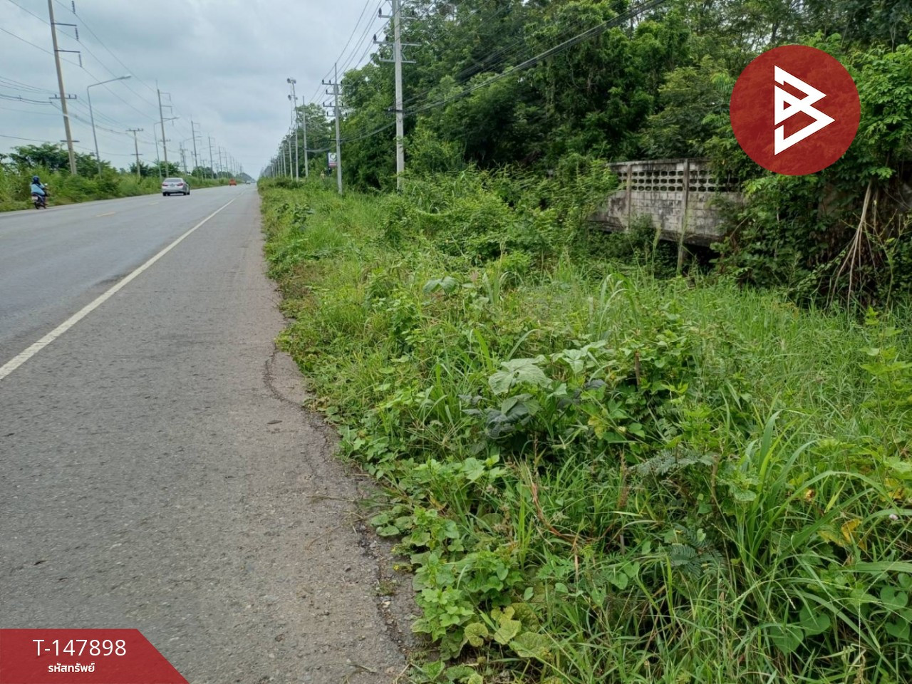 ขายที่ดิน เนื้อที่ 14 ไร่ 2 งาน 11 ตร.วา ตะพานหิน พิจิตร – รูปที่ 4