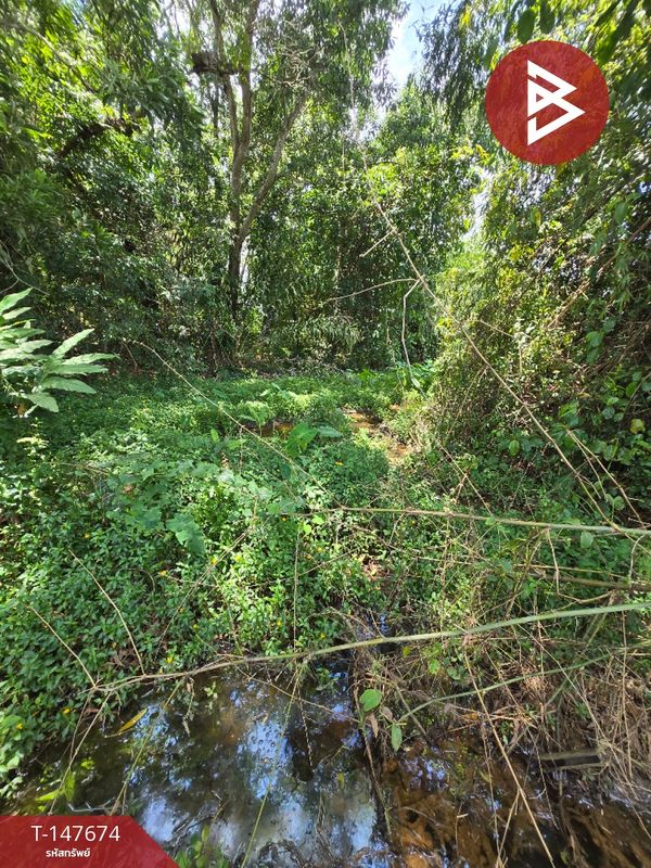 ขายที่ดิน เนื้อที่ 1 ไร่ ท่าช้าง จันทบุรี