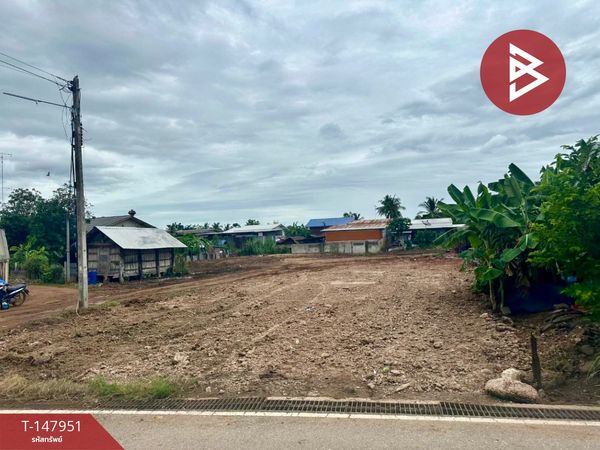 Land for sale, area 3 ngan 98 sq m, Noen Kham, Chainat.