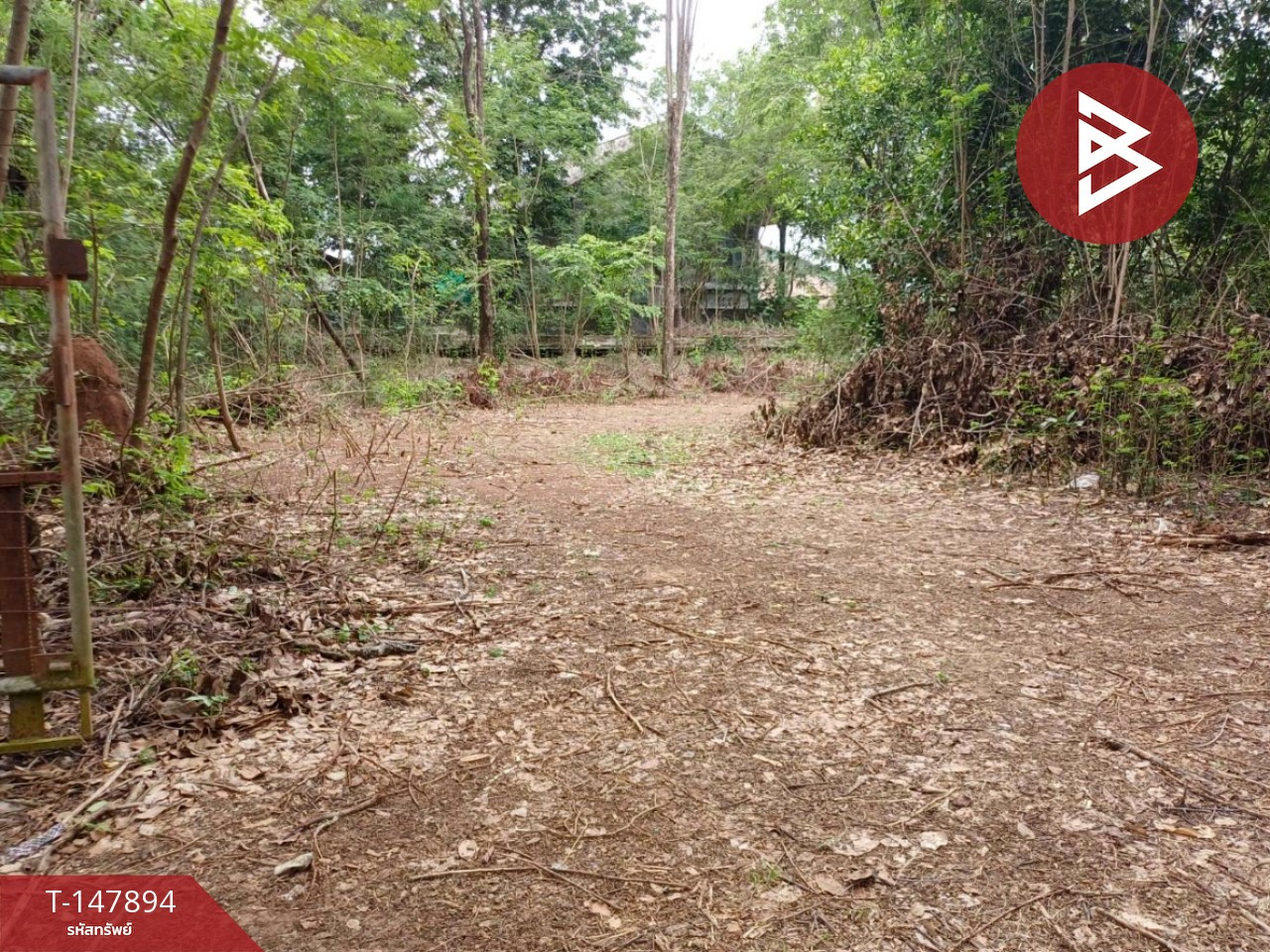 Land for sale, area 8 rai, Taphan Hin, Phichit – รูปที่ 3