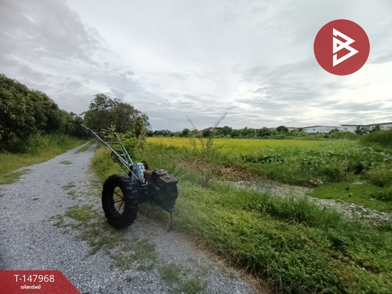 Land for sale, area 13 rai 2 ngan 24 sq m, Phutthamonthon, Nakhon Pathom. – รูปที่ 2