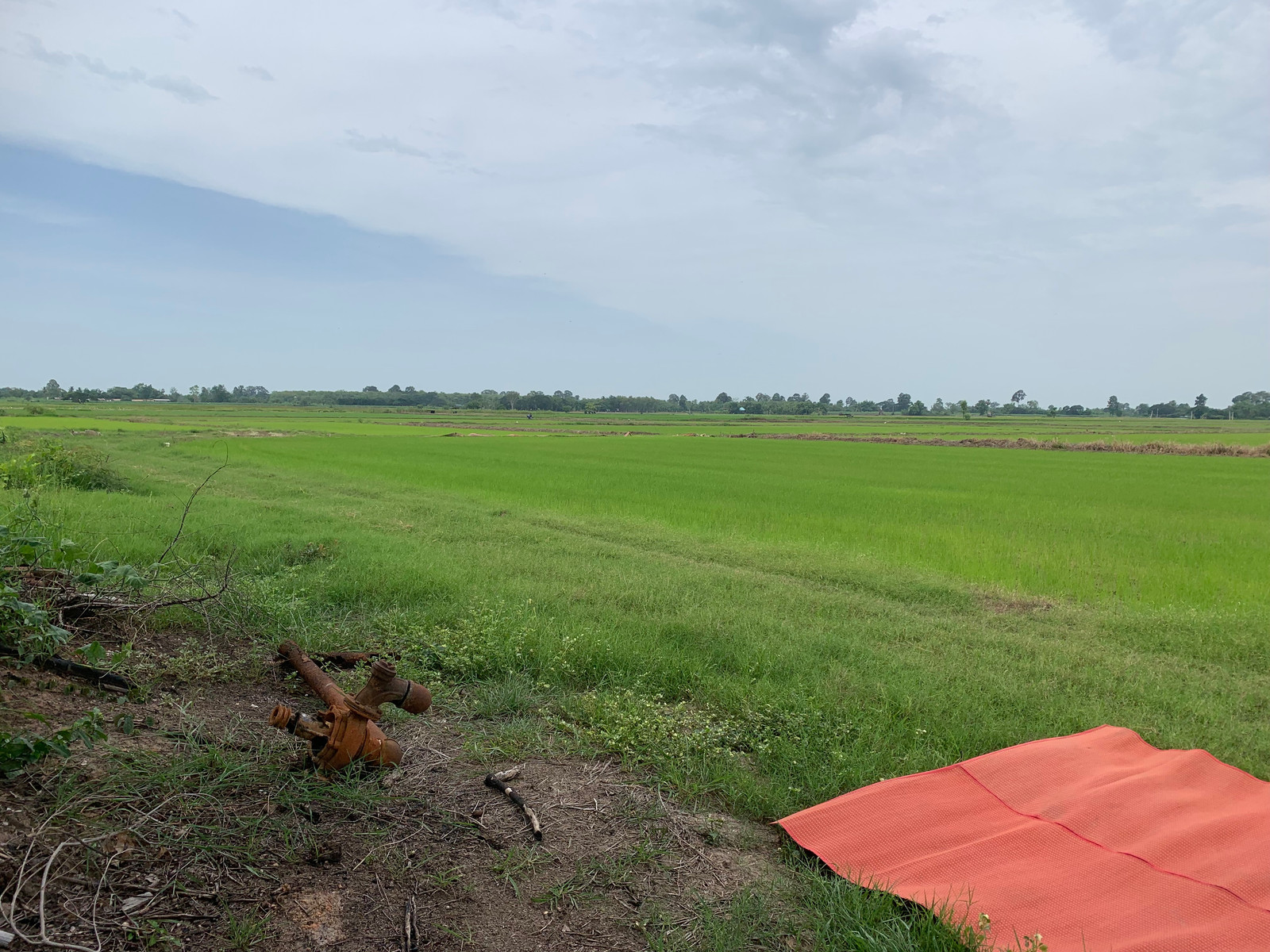 Land for sale, 11 rai 3 ngan, Bang Krathum District, Phitsanulok Province, good location, shady atmosphere. Suitable for investment Land for sale, 11 rai 3 ngan, Bang Krathum District, Phitsanulok Province, good location, shady atmosphere. Suitable for investment