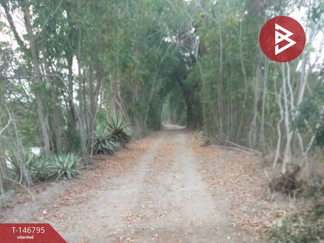 ขายที่ดิน เนื้อที่ 36 ไร่ 2 งาน 30 ตร.วา สวนผึ้ง ราชบุรี – รูปที่ 2