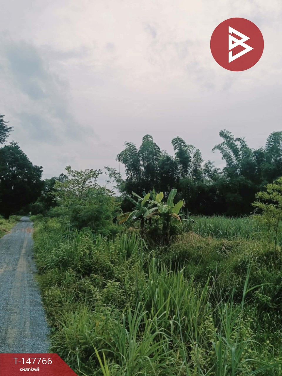 ขายที่ดิน เนื้อที่ 5 ไร่ 8.8 ตร.วา เวียงเก่า ขอนแก่น – รูปที่ 3