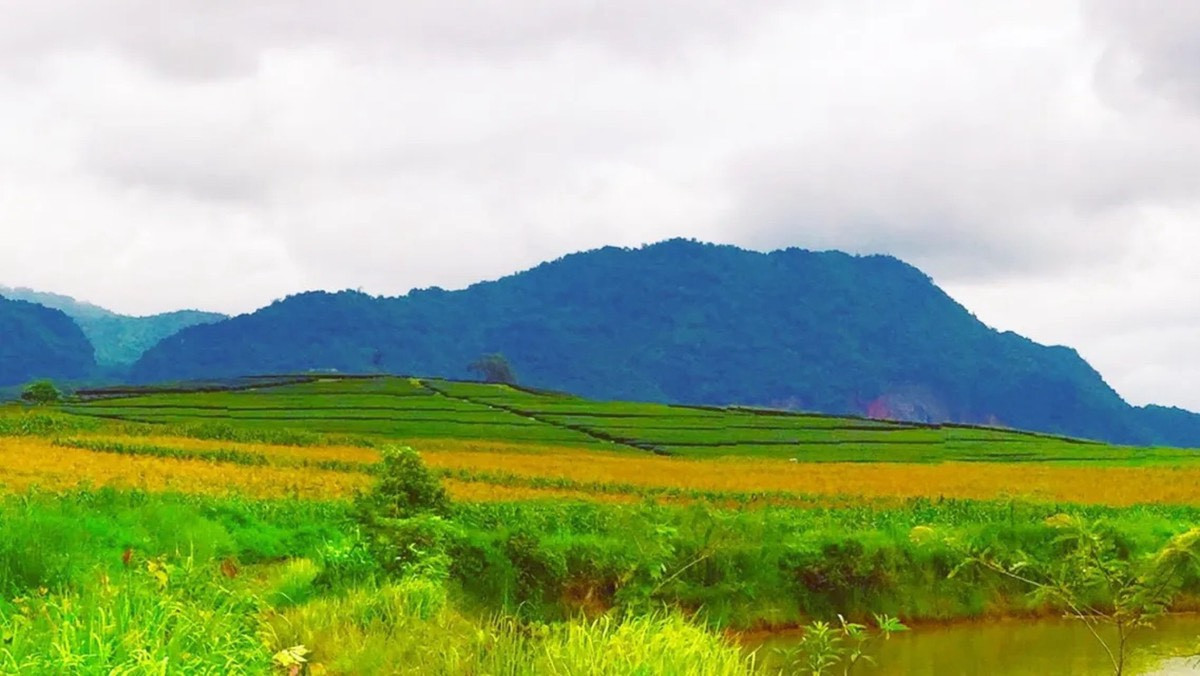 ขายที่ดินพรีเมียมติด Singha Park เชียงราย | 14 ไร่ | วิวภูเขาพาโนรามา – รูปที่ 2