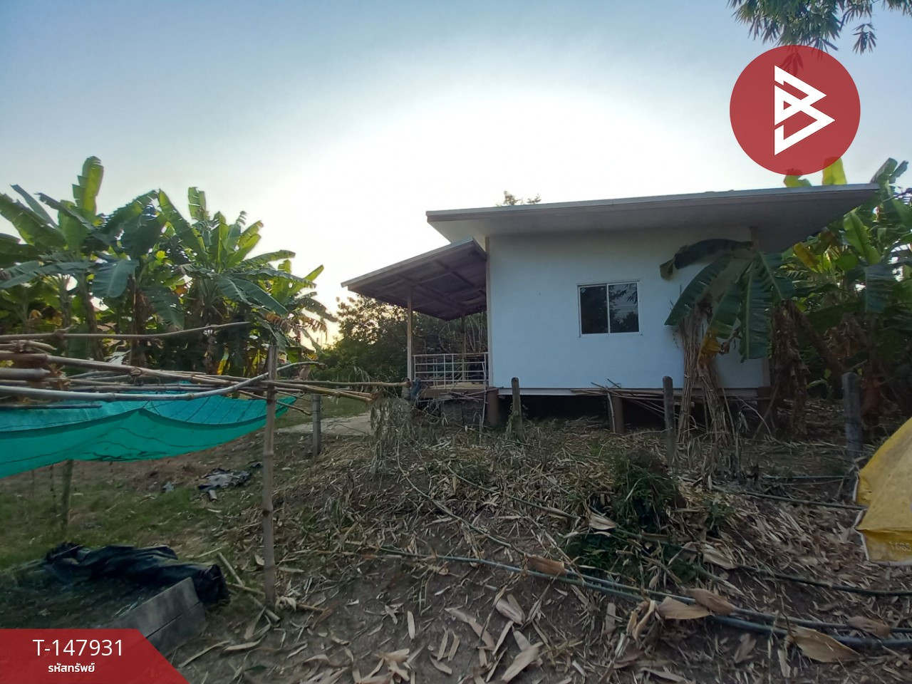Land for sale, area 1 rai 1 ngan, Photharam, Ratchaburi. – รูปที่ 2