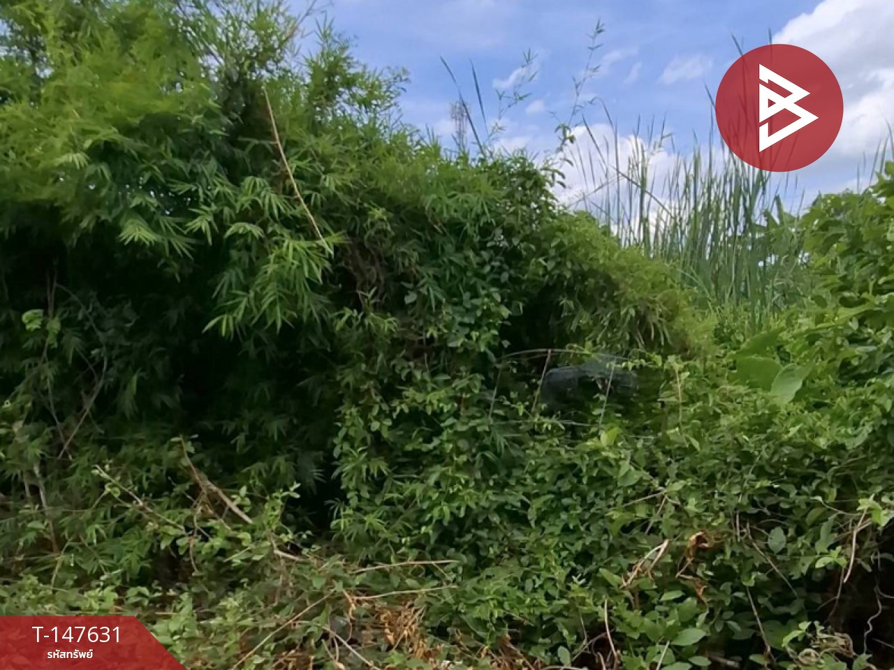 ขายที่ดิน เนื้อที่ 43 ตร.วา มีนบุรี กรุงเทพมหานคร – รูปที่ 2