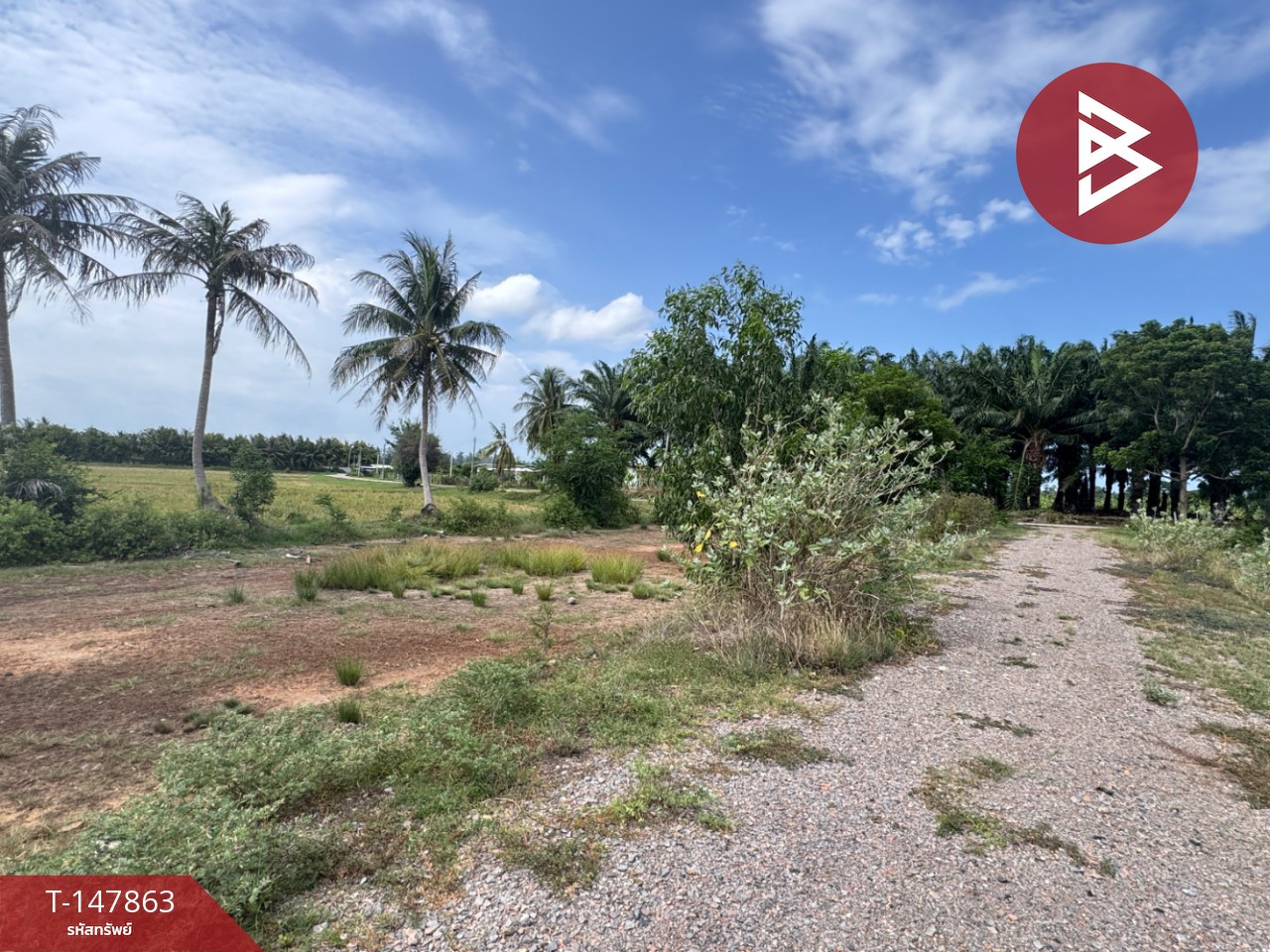 ขายที่ดิน เนื้อที่ 2 งาน 45.7 ตร.วา ท่ายาง เพชรบุรี – รูปที่ 3