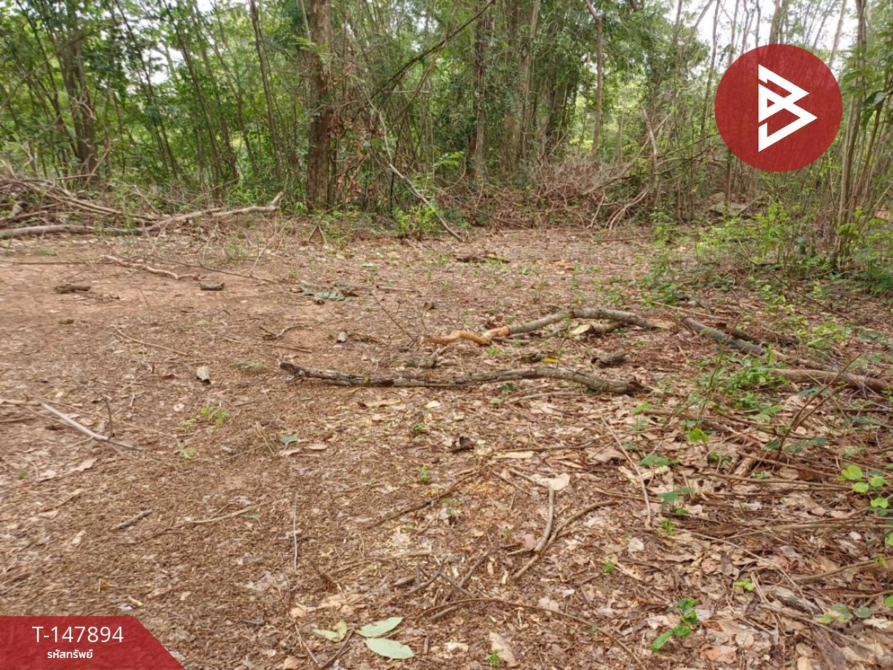 Land for sale, area 8 rai, Taphan Hin, Phichit – รูปที่ 2