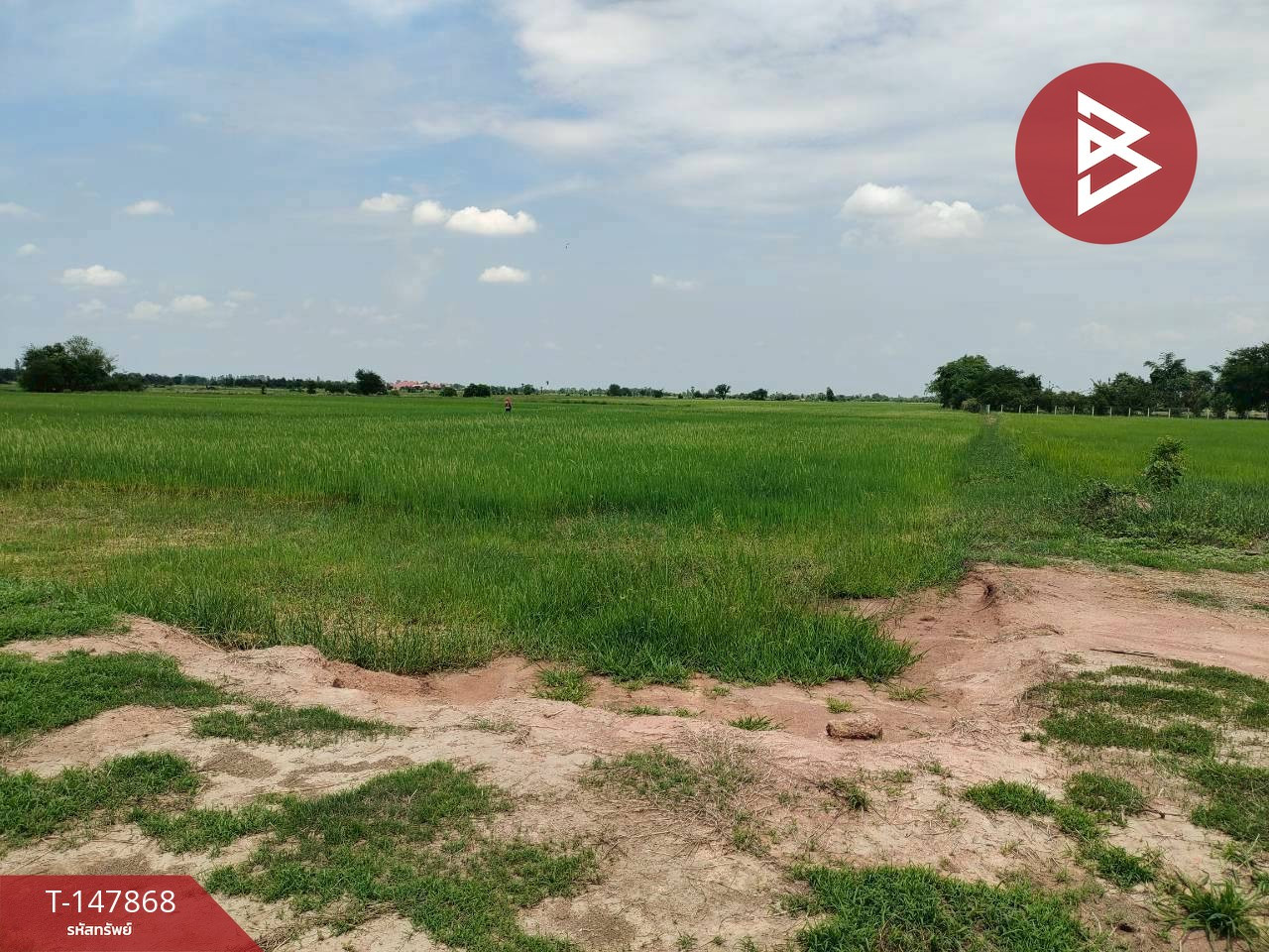 ขายที่ดินที่นา เนื้อที่ 5 ไร่ 1 งาน 6.1 ตร.วา ติดถนนหลัก 324 อู่ทอง-กาญจนบุรี – รูปที่ 3