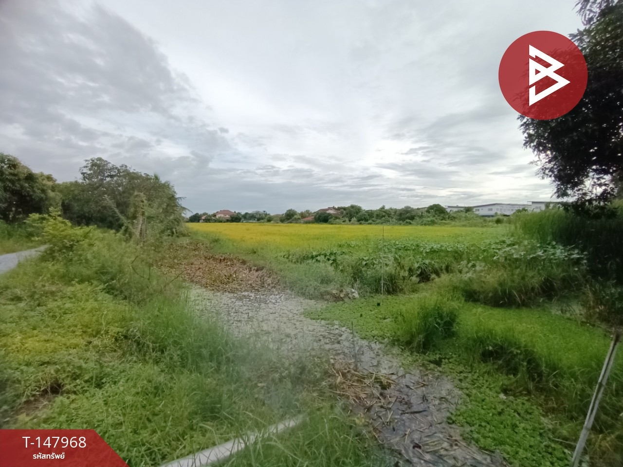 Land for sale, area 13 rai 2 ngan 24 sq m, Phutthamonthon, Nakhon Pathom. – รูปที่ 4
