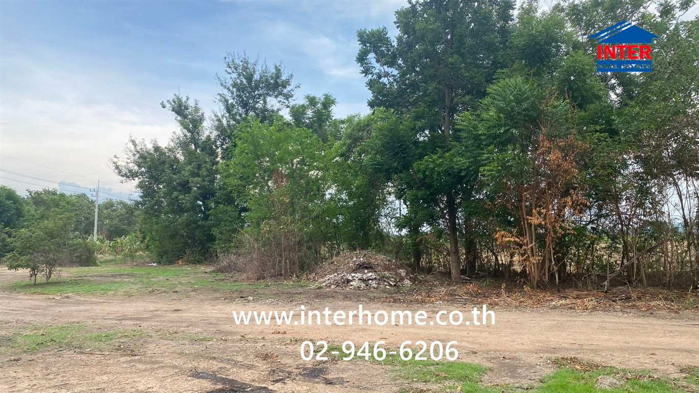 Vacant land 5 rai 360 sq m, Chainat land, near community areas, markets, shops and gas stations, Asia Road, Manorom, Chainat. – รูปที่ 2