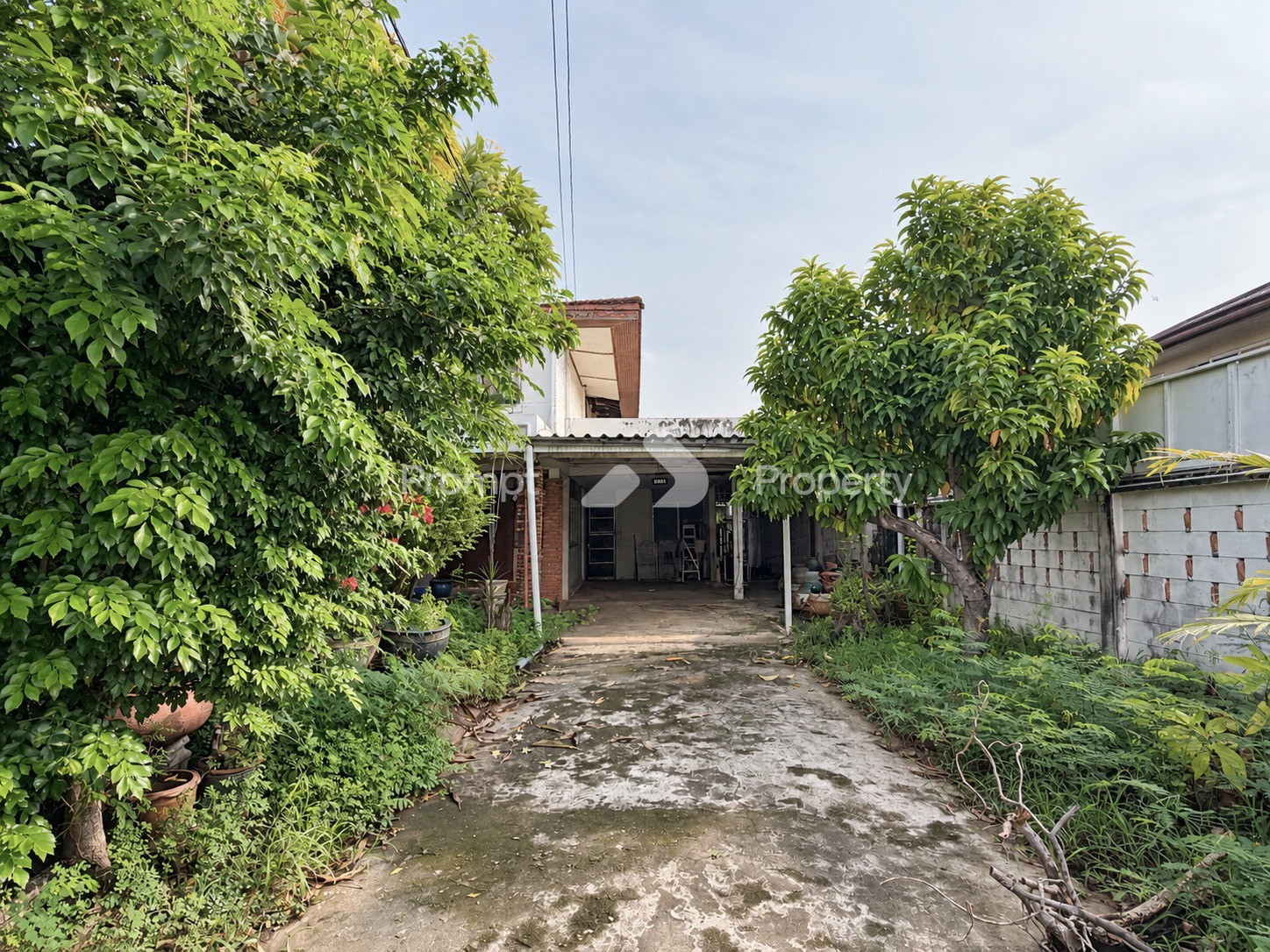 ขายบ้านพร้อมที่ดิน สุขุมวิท 71 ซอยพัฒนเวศน์ 10 เข้า-ออกปรีดี พนมยงค์ 14–16  – รูปที่ 4