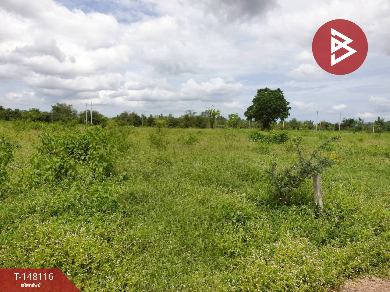 Land for sale, area 3 ngan, Kaeng Krachan, Phetchaburi – รูปที่ 3
