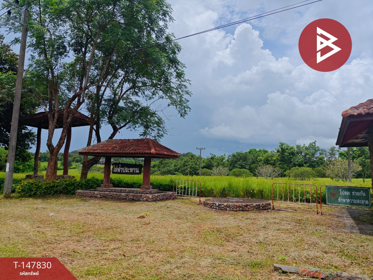 ขาย/เช่าที่ดิน เนื้อที่ 12 ไร่ 34 ตร.วา เทิง เชียงราย – รูปที่ 2