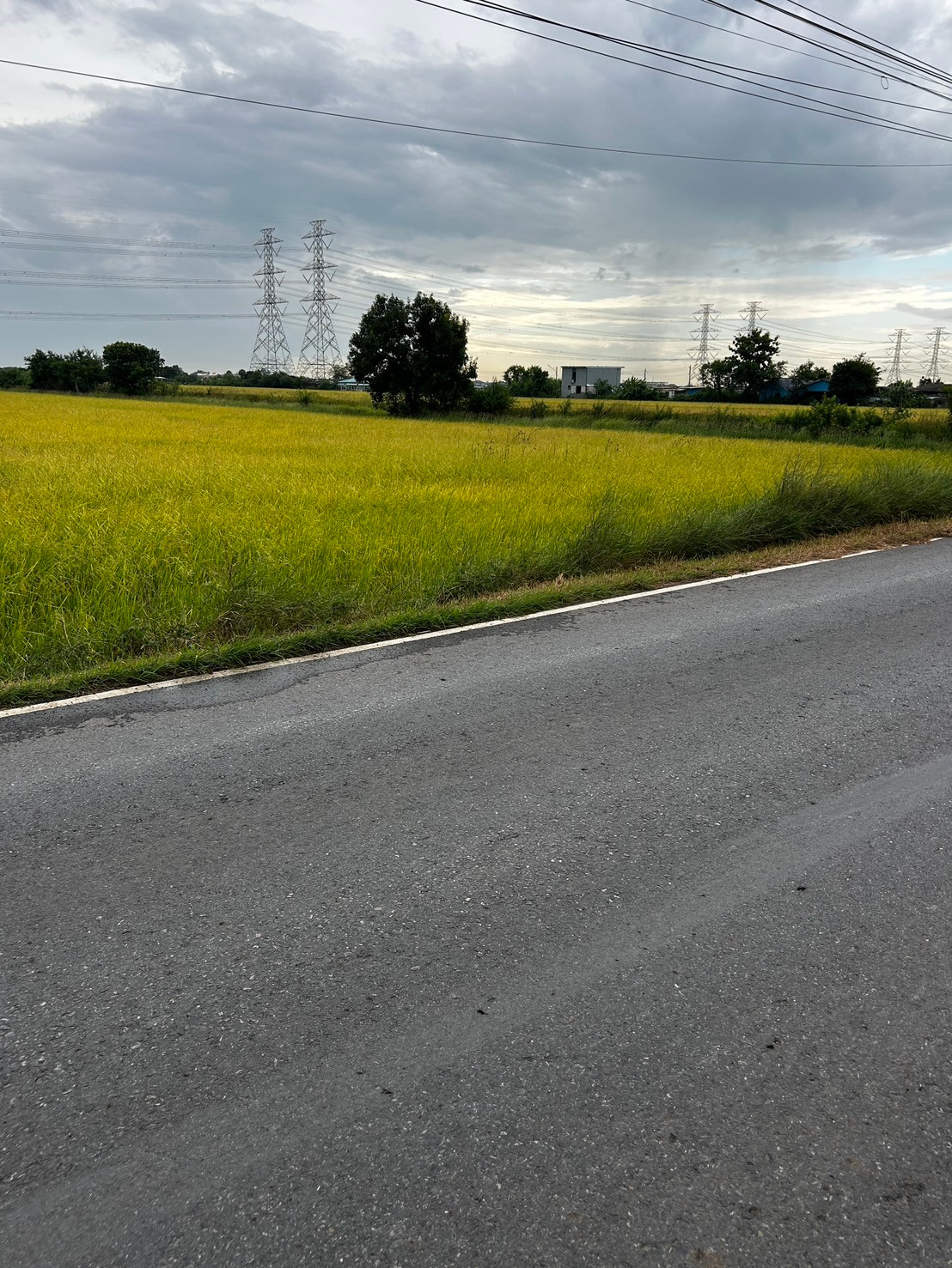 Land Khlong 8, Lam Luk Ka, behind Wat Don Yai. Land Khlong 8, Lam Luk Ka, behind Wat Don Yai.