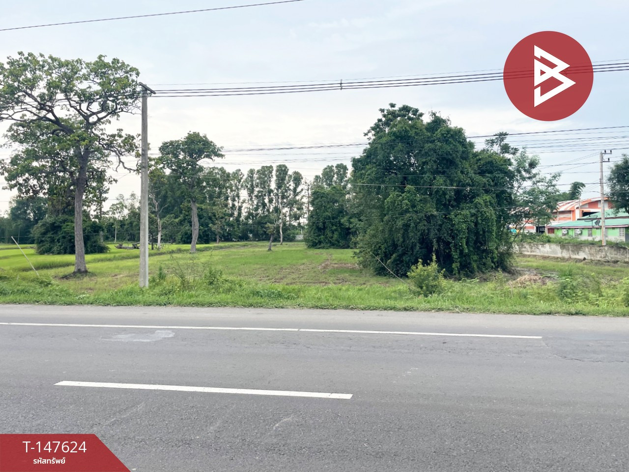 Empty land for sale, area 5 rai 36 square wa, Prakhon Chai, Buriram. – รูปที่ 3